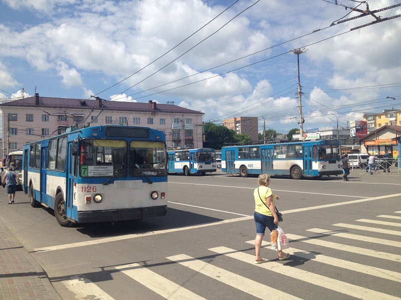 Трилистник орел фото