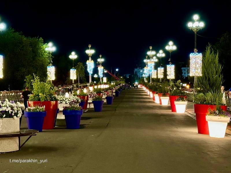 За ночь улица Ленина превратилась в цветник